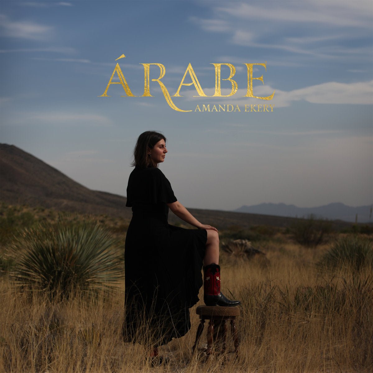 Árabe by Amanda Ekery Limited Editon | Vinyl & Art Book - Made X Hudson